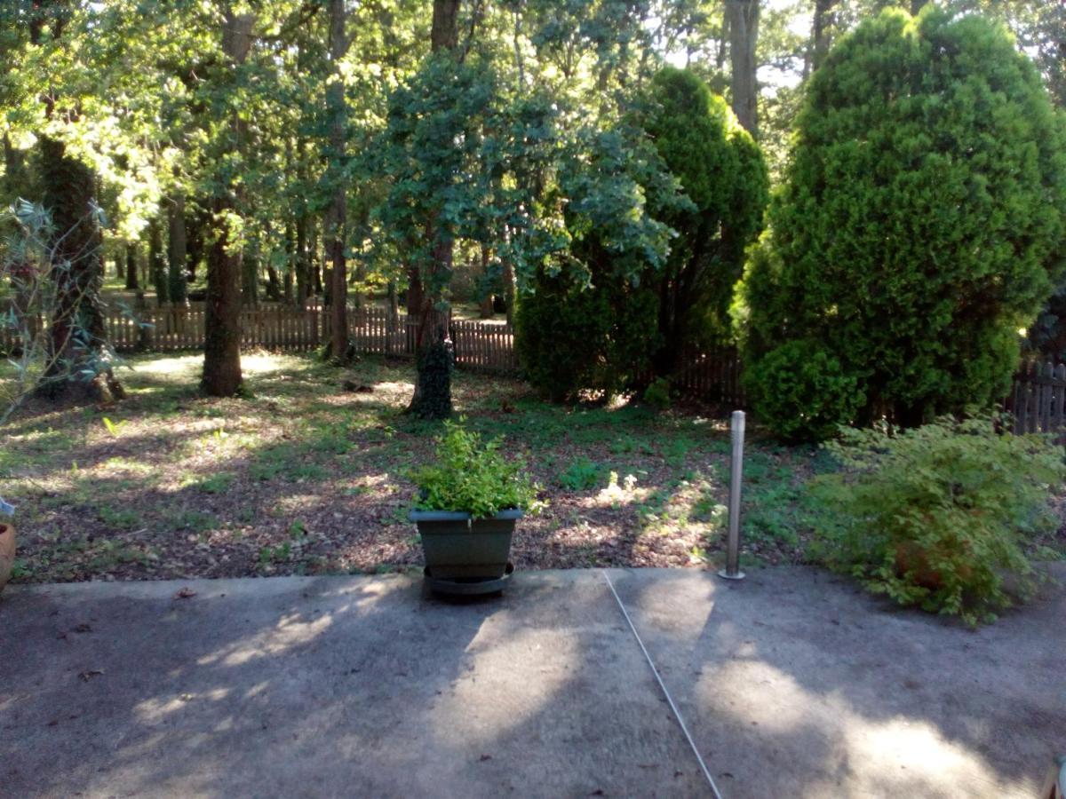 Le Pre Karvain Bed & Breakfast Couddes Bagian luar foto