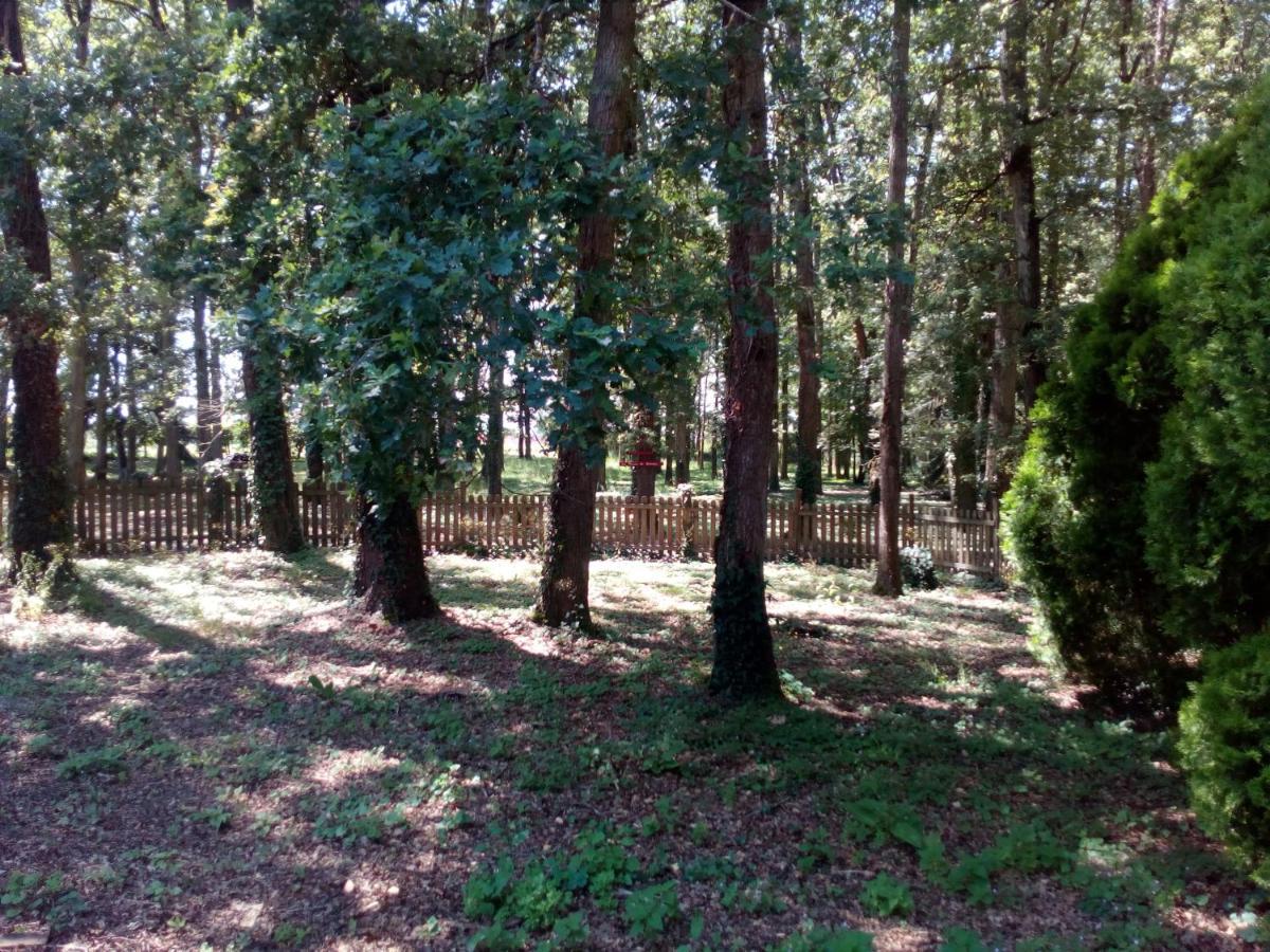 Le Pre Karvain Bed & Breakfast Couddes Bagian luar foto