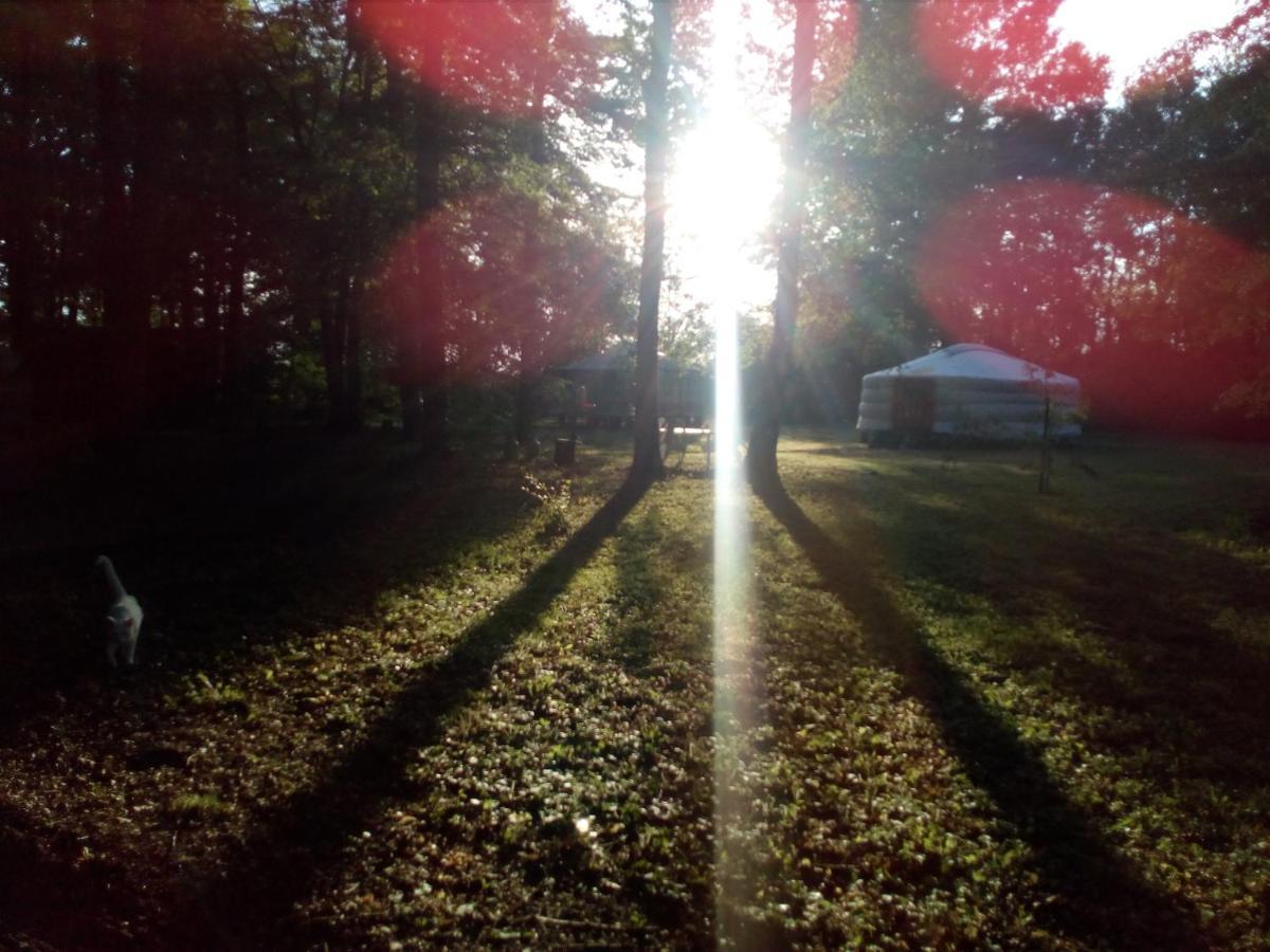 Le Pre Karvain Bed & Breakfast Couddes Bagian luar foto
