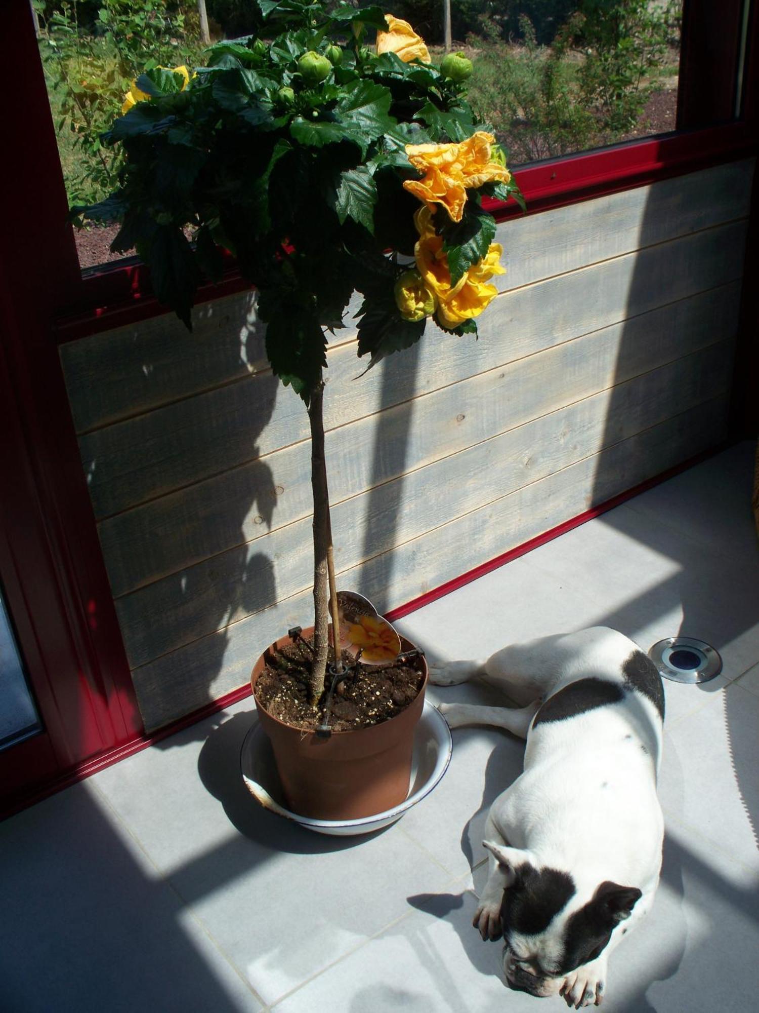 Le Pre Karvain Bed & Breakfast Couddes Bagian luar foto