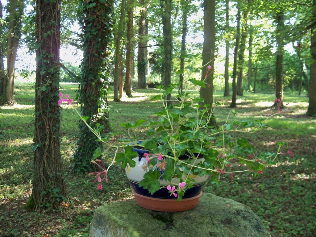Le Pre Karvain Bed & Breakfast Couddes Bagian luar foto