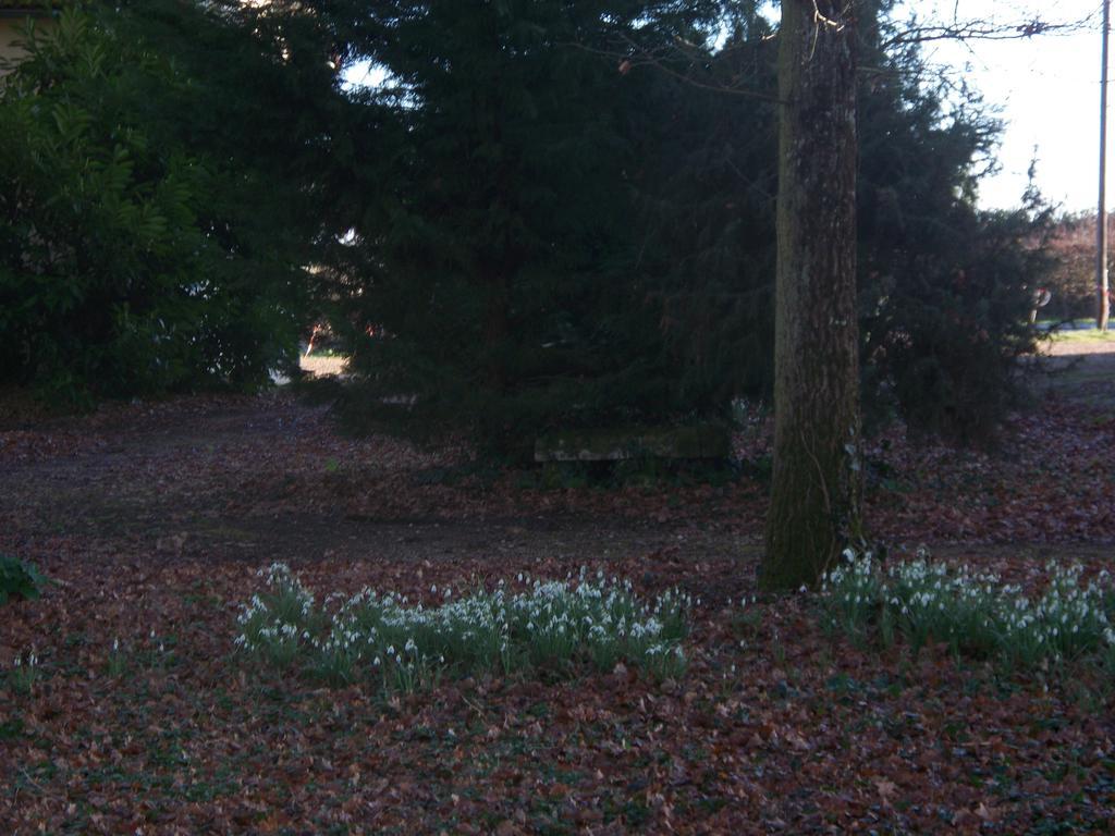 Le Pre Karvain Bed & Breakfast Couddes Bagian luar foto